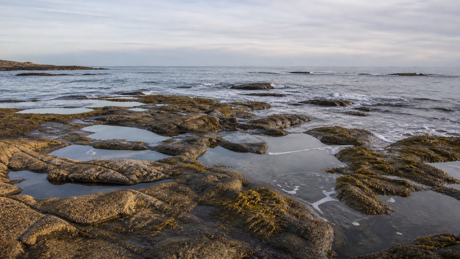 Interconnected tide pools and returning waves along a quiet rocky shoreline