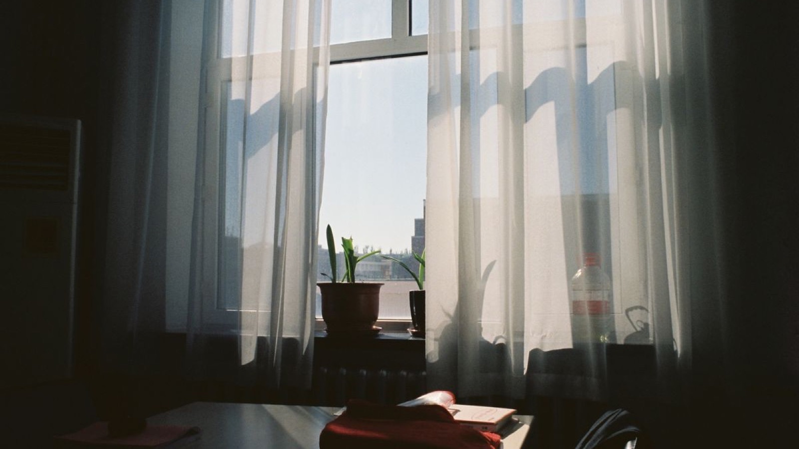Building a Team Across Time Zones and Cultures